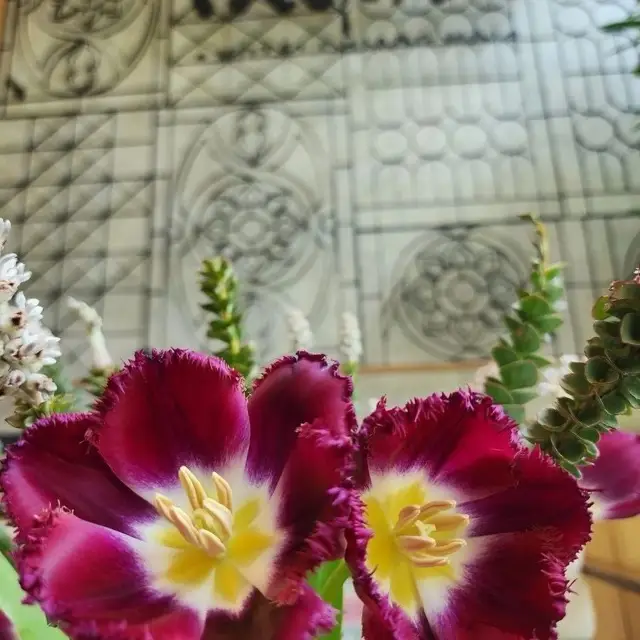 Himku Hotel, Chiang Mai, photo 12